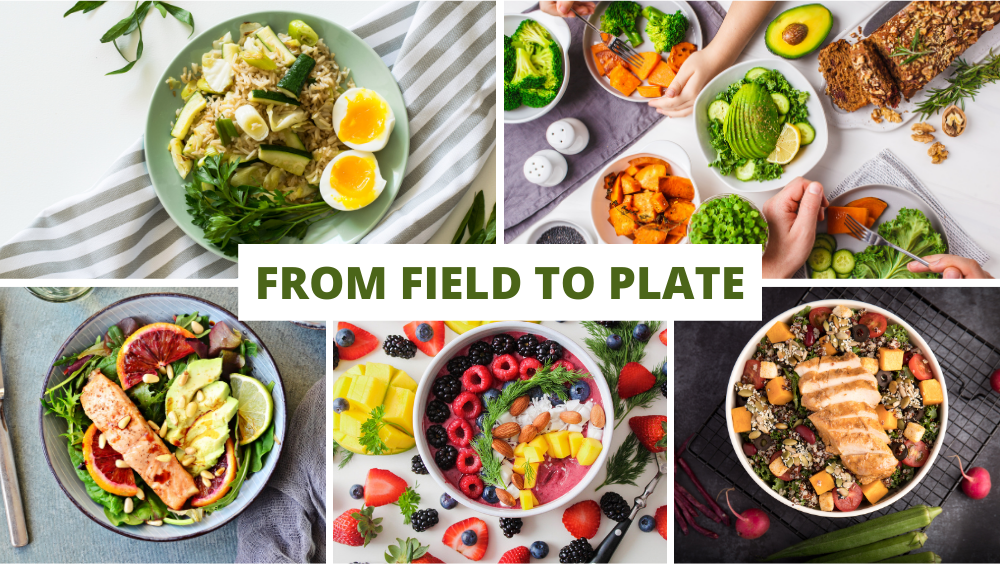 From Field to Plate: Towards Greater Food Diversity